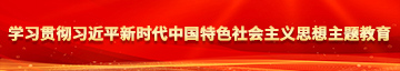 美女的小骚b被插学习贯彻习近平新时代中国特色社会主义思想主题教育